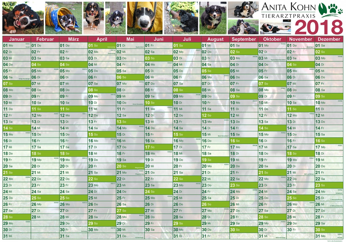 Wandkalender drucken lassen| Kalenderdruck | flyerpara.de